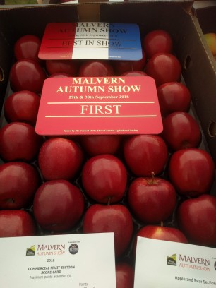 Best commercial apples - red ones?!