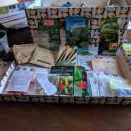 Seeds for February Sowing